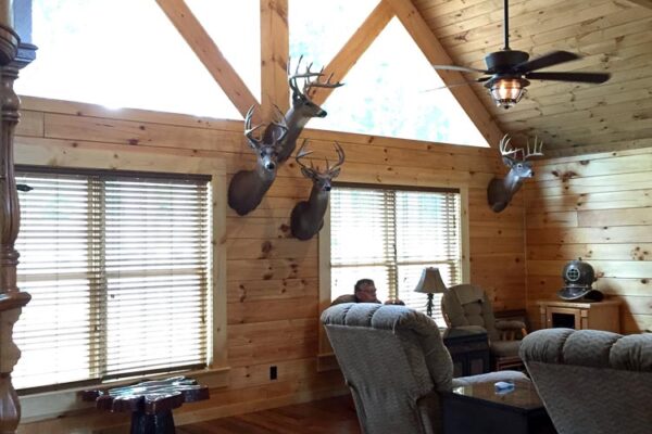 Cozy Log Homes Cabin Kits-650